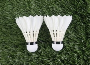 九游APP-印度羽毛球队鏖战中国羽毛球队，辛杜绝境逆转