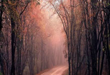 九游娱乐-SKGaming完胜TES，Scout高光表现