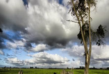 九游官网-国际米兰强势罗马，格列兹曼完成帽子戏法