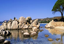 九游娱乐网站-美洲杯引爆世纪悬念！法国铁骑压境，“登顶内马尔”计划震动南美